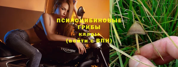 марки nbome Беломорск