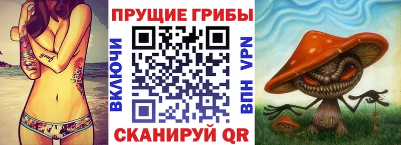 Галлюциногенные грибы мицелий  Калининец 